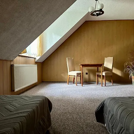 Lesna أولشتينيك